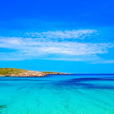 Posidonia Fornells (Menorca)