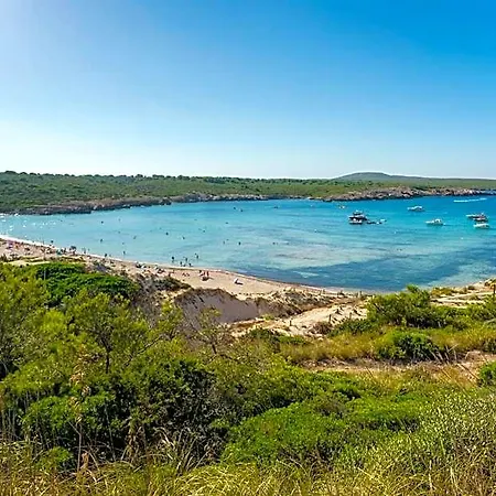 Posidonia 3*