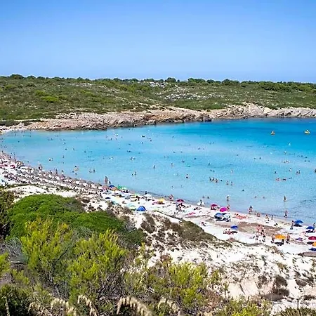 Posidonia Fornells (Menorca)